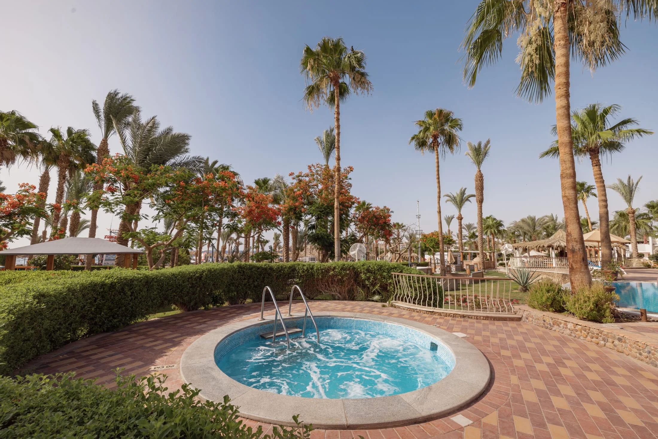 Jaz Fayrouz Resort — photo 14